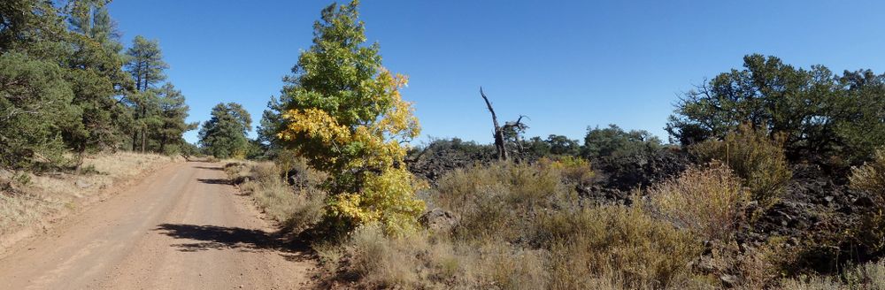 GDMBR: We had been traveling next to the 1200 year old lava bed.